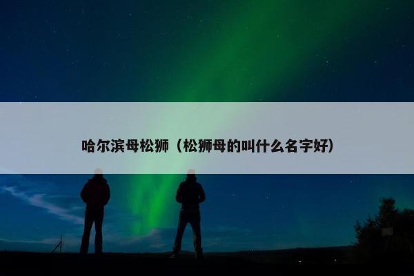 哈尔滨母松狮（松狮母的叫什么名字好）