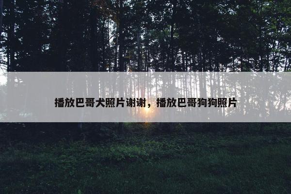 播放巴哥犬照片谢谢，播放巴哥狗狗照片