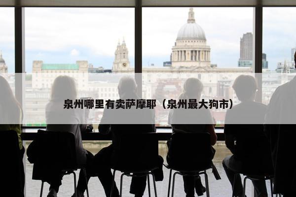 泉州哪里有卖萨摩耶（泉州最大狗市）