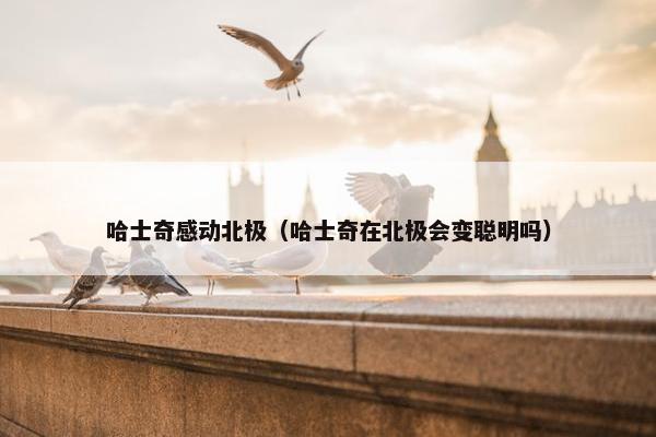 哈士奇感动北极（哈士奇在北极会变聪明吗）
