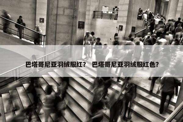 巴塔哥尼亚羽绒服红？ 巴塔哥尼亚羽绒服红色？
