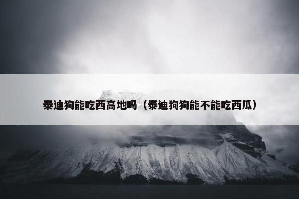 泰迪狗能吃西高地吗（泰迪狗狗能不能吃西瓜）