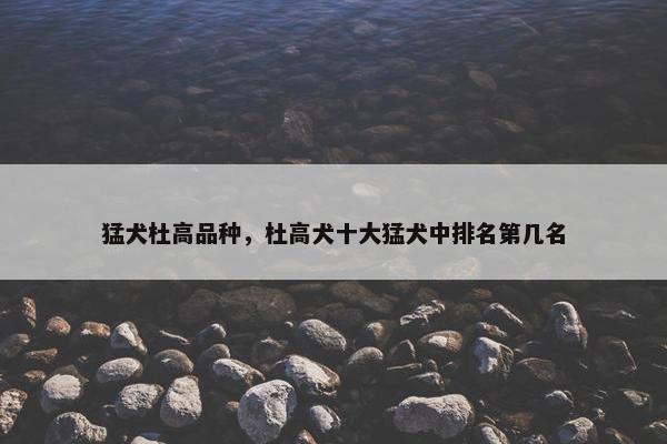 猛犬杜高品种，杜高犬十大猛犬中排名第几名