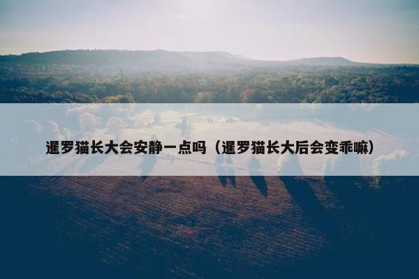 暹罗猫长大会安静一点吗（暹罗猫长大后会变乖嘛）