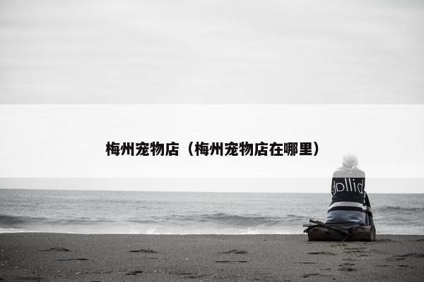梅州宠物店（梅州宠物店在哪里）