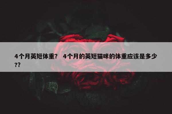 4个月英短体重？ 4个月的英短猫咪的体重应该是多少?？