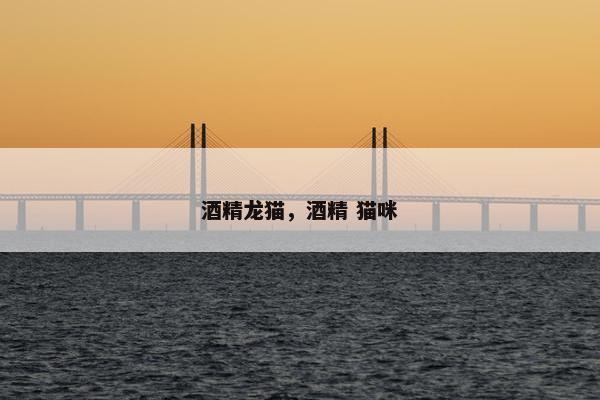 酒精龙猫，酒精 猫咪