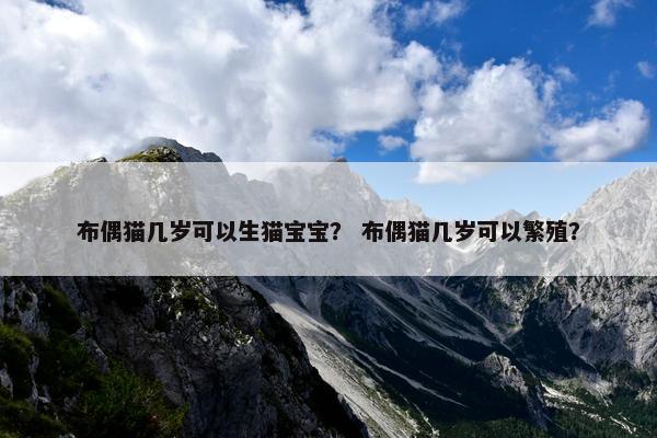 布偶猫几岁可以生猫宝宝？ 布偶猫几岁可以繁殖？