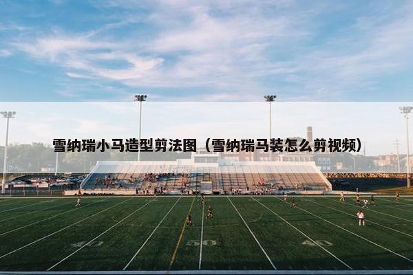 雪纳瑞小马造型剪法图（雪纳瑞马装怎么剪视频）