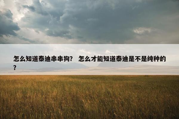 怎么知道泰迪串串狗？ 怎么才能知道泰迪是不是纯种的？
