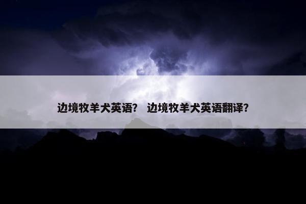边境牧羊犬英语？ 边境牧羊犬英语翻译？