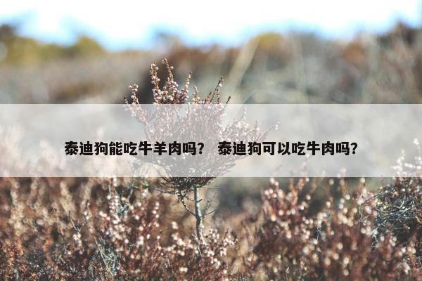 泰迪狗能吃牛羊肉吗？ 泰迪狗可以吃牛肉吗？