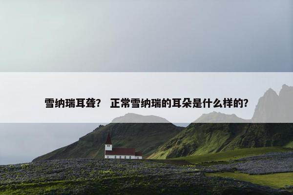 雪纳瑞耳聋？ 正常雪纳瑞的耳朵是什么样的？