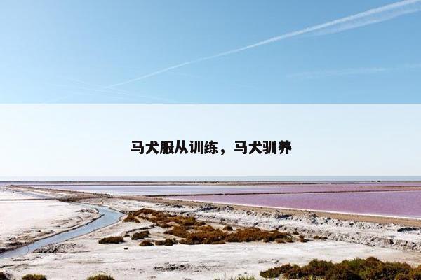 马犬服从训练，马犬驯养