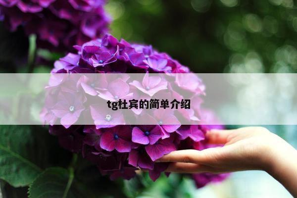 tg杜宾的简单介绍