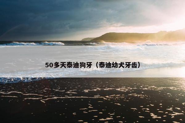50多天泰迪狗牙（泰迪幼犬牙齿）