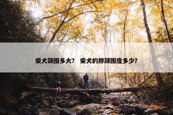 柴犬颈围多大？ 柴犬的脖颈围度多少？
