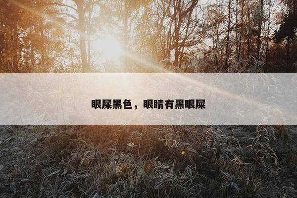 眼屎黑色，眼睛有黑眼屎