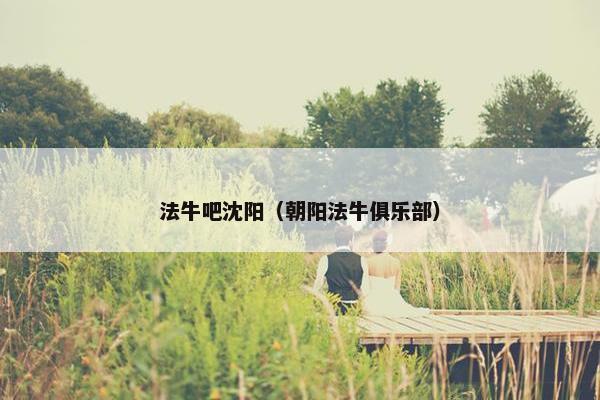 法牛吧沈阳（朝阳法牛俱乐部）