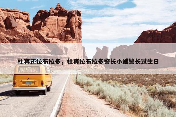 杜宾还拉布拉多，杜宾拉布拉多警长小蝶警长过生日