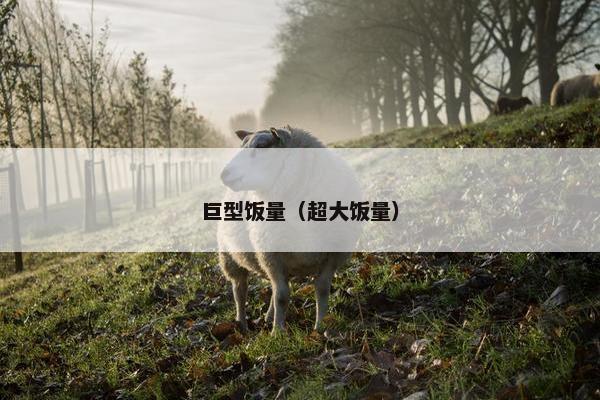 巨型饭量（超大饭量）