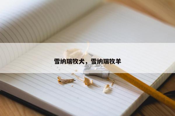 雪纳瑞牧犬，雪纳瑞牧羊