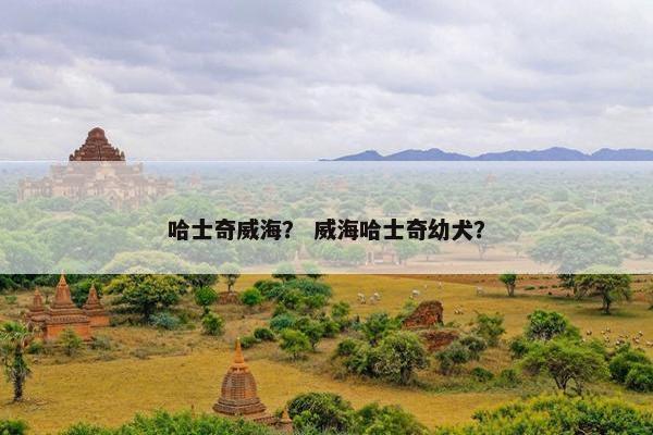 哈士奇威海？ 威海哈士奇幼犬？