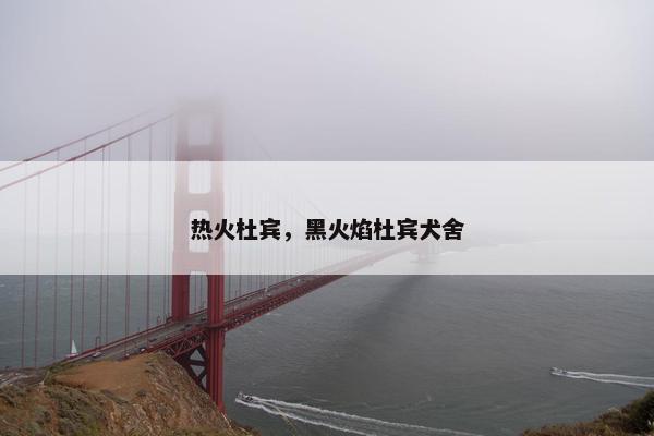 热火杜宾，黑火焰杜宾犬舍