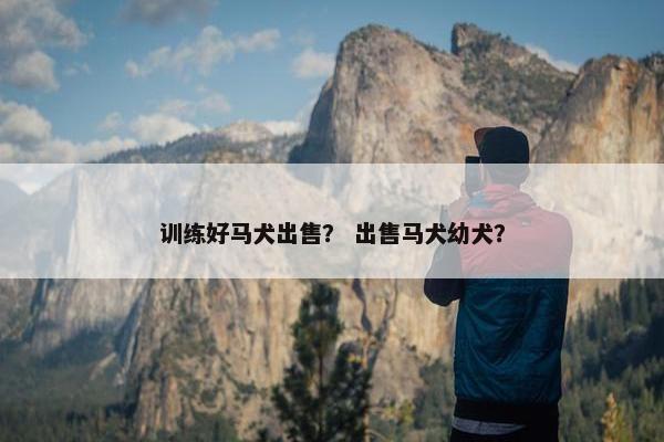训练好马犬出售？ 出售马犬幼犬？