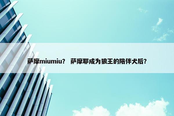 萨摩miumiu？ 萨摩耶成为狼王的陪伴犬后？