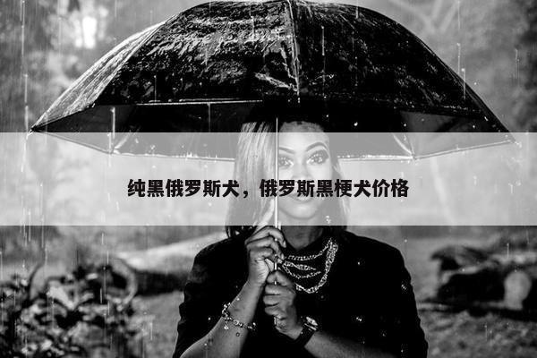 纯黑俄罗斯犬，俄罗斯黑梗犬价格
