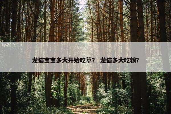 龙猫宝宝多大开始吃草？ 龙猫多大吃粮？