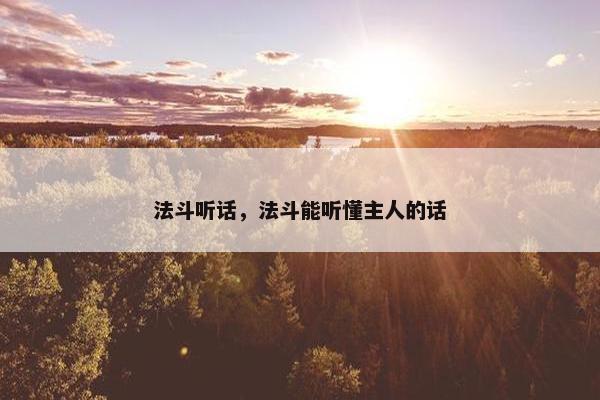 法斗听话，法斗能听懂主人的话