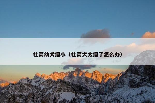 杜高幼犬瘦小（杜高犬太瘦了怎么办）