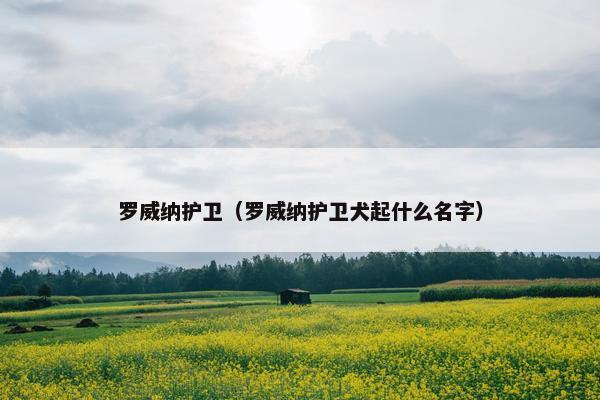 罗威纳护卫（罗威纳护卫犬起什么名字）
