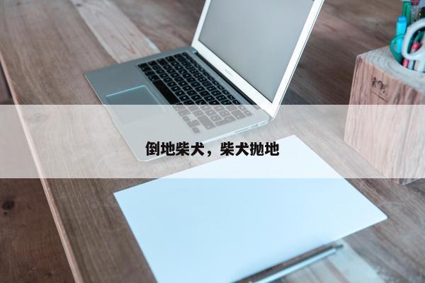 倒地柴犬，柴犬抛地