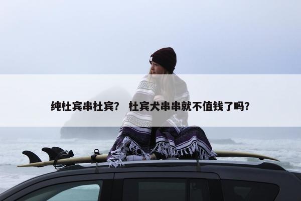 纯杜宾串杜宾？ 杜宾犬串串就不值钱了吗？