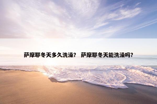 萨摩耶冬天多久洗澡？ 萨摩耶冬天能洗澡吗？