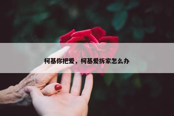 柯基你把爱，柯基爱拆家怎么办