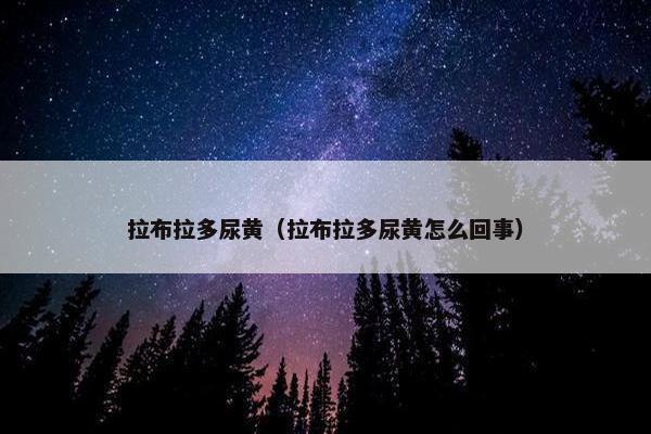 拉布拉多尿黄（拉布拉多尿黄怎么回事）