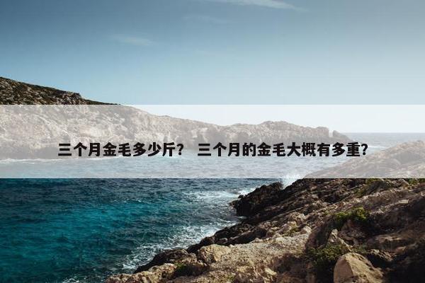 三个月金毛多少斤？ 三个月的金毛大概有多重？