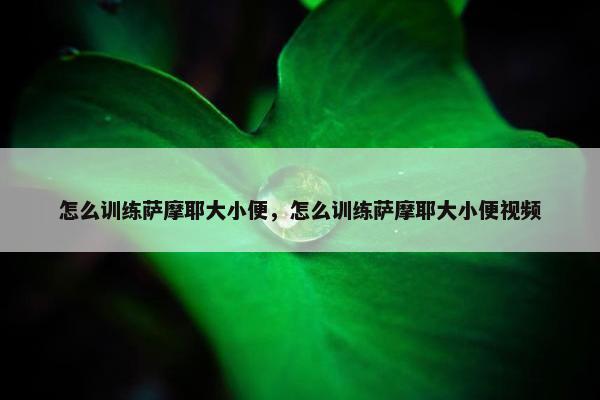 怎么训练萨摩耶大小便，怎么训练萨摩耶大小便视频