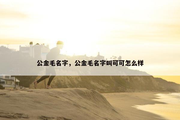 公金毛名字，公金毛名字叫可可怎么样