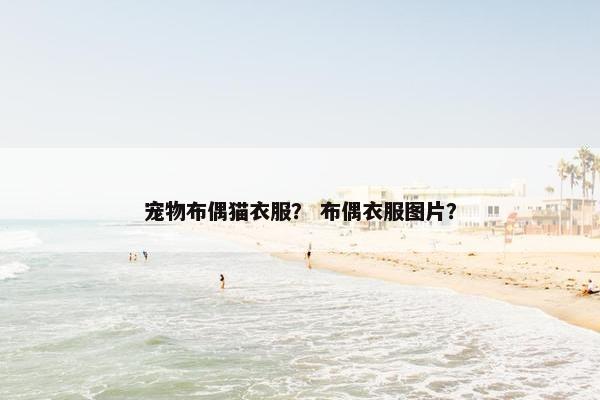 宠物布偶猫衣服？ 布偶衣服图片？