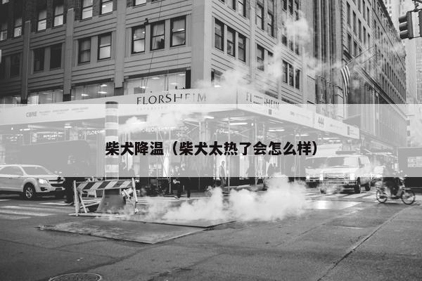 柴犬降温（柴犬太热了会怎么样）