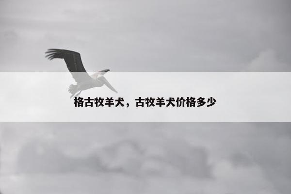 格古牧羊犬，古牧羊犬价格多少