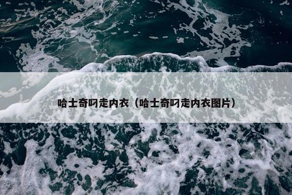 哈士奇叼走内衣（哈士奇叼走内衣图片）