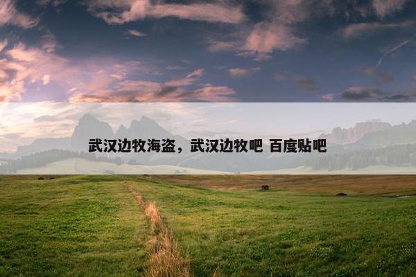 武汉边牧海盗，武汉边牧吧 百度贴吧