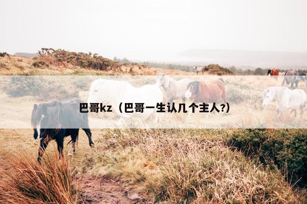 巴哥kz（巴哥一生认几个主人?）