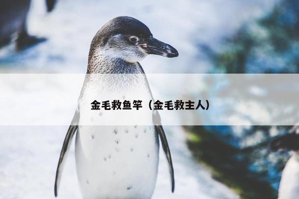 金毛救鱼竿（金毛救主人）